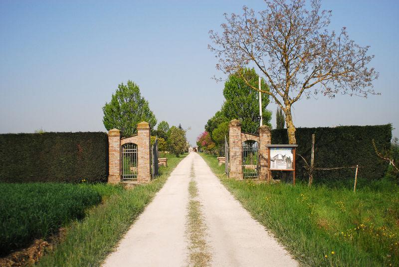 Villa Agriturismo L'Angelina Alfonsine Exterior foto